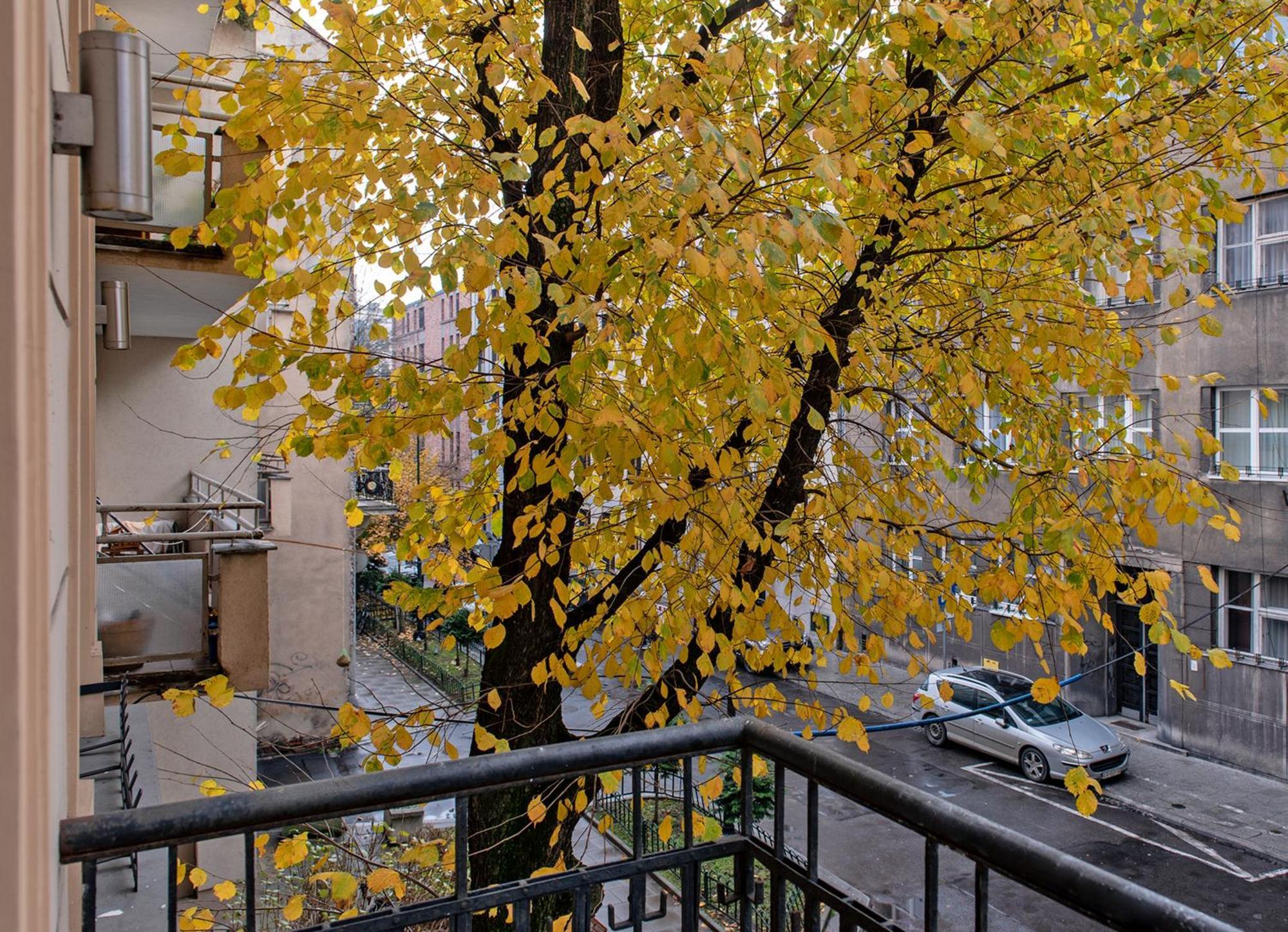 3D Wygoda Apartamenty Cracovia Habitación foto